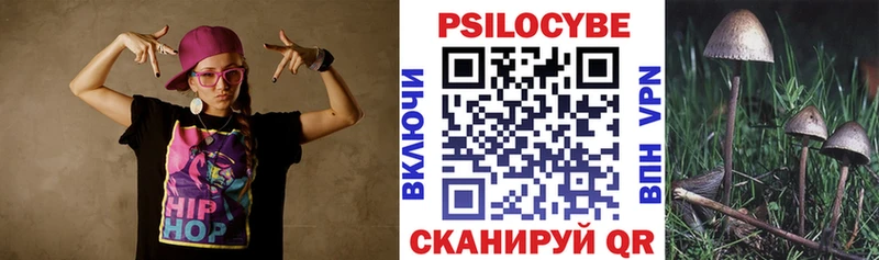 Купить закладки  Подольск  Галлюциногенные грибы Magic Shrooms 